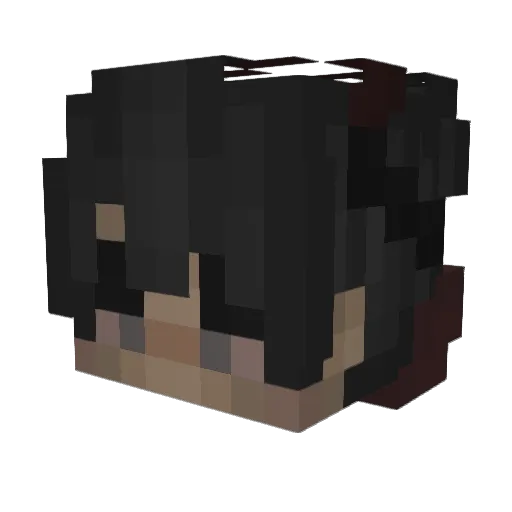 Foter_0 Minecraft avatar head, 3D render