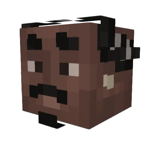 Fotografo Minecraft avatar head, 3D render