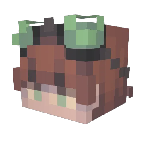 FoughtGrub17 Minecraft avatar head, 3D render