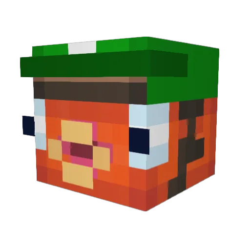 FoulerKitten59 Minecraft avatar head, 3D render