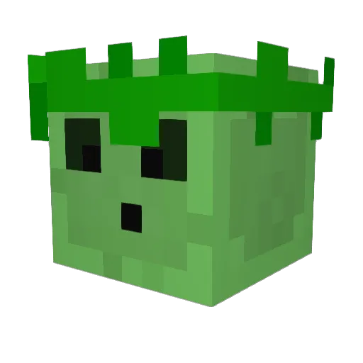 Foumwalapee Minecraft avatar head, 3D render