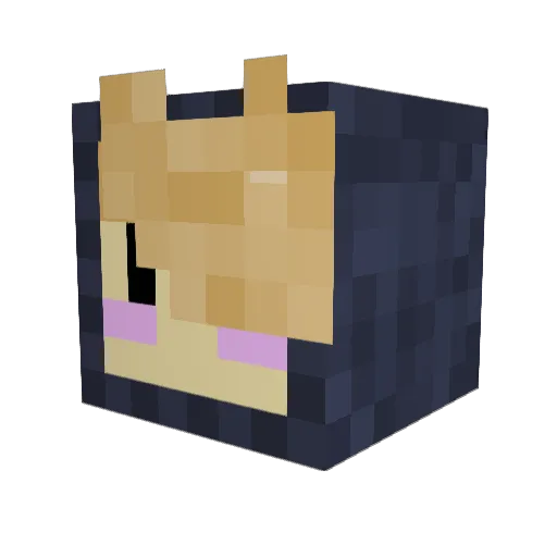 FoundKnight2679 Minecraft avatar head, 3D render