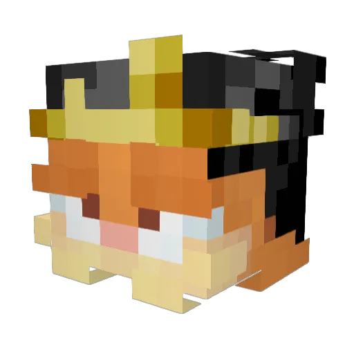 Foundcash662793 Minecraft avatar head, 3D render