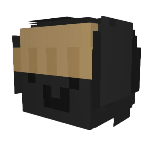 FoundedSnow69 Minecraft avatar head, 3D render