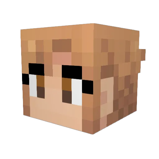 Founding_Father Minecraft avatar head, 3D render