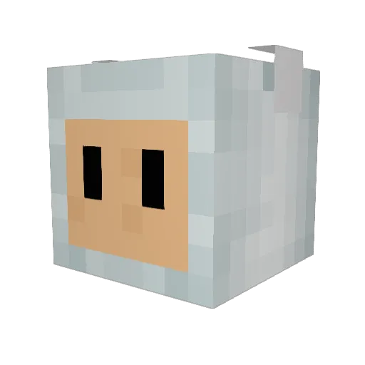Foundless Minecraft avatar head, 3D render