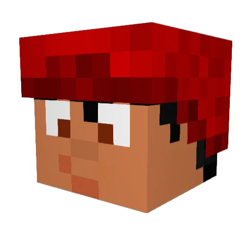 Four20Kiwis Minecraft avatar head, 3D render