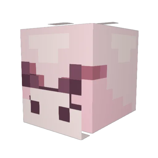 Foursider Minecraft avatar head, 3D render