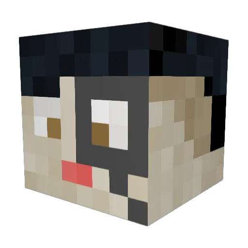 Fourstar11 Minecraft avatar head, 3D render