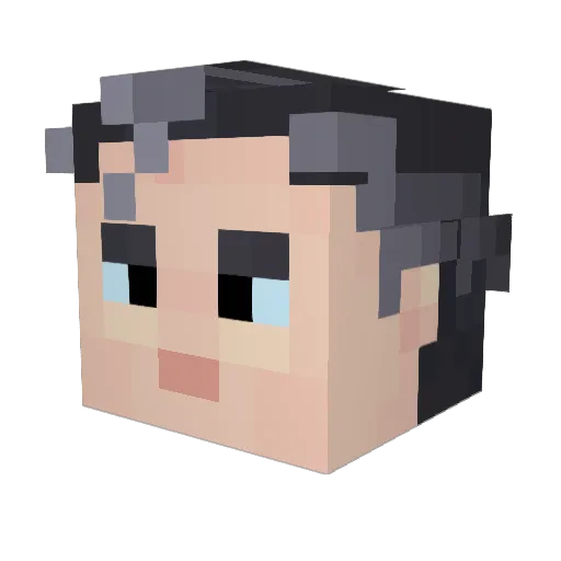 FourthDruid Minecraft avatar head, 3D render