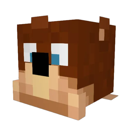 FourthOverlord Minecraft avatar head, 3D render