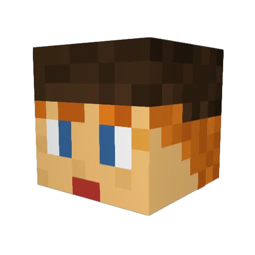 Fouruners Minecraft avatar head, 3D render