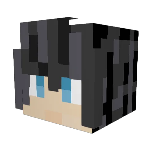 Foust_hscd Minecraft avatar head, 3D render