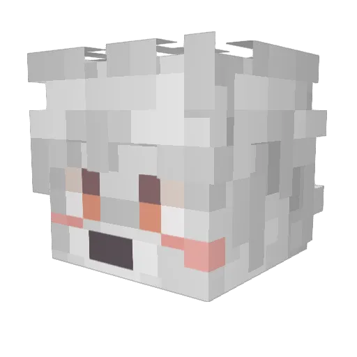 FovBert Minecraft avatar head, 3D render