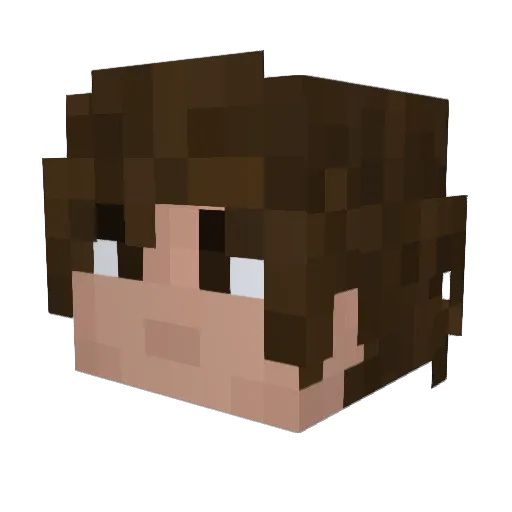 Fowreen Minecraft avatar head, 3D render
