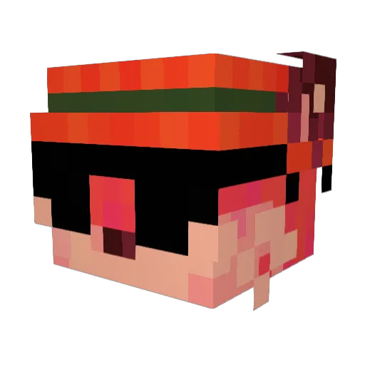 Fox10_ Minecraft avatar head, 3D render