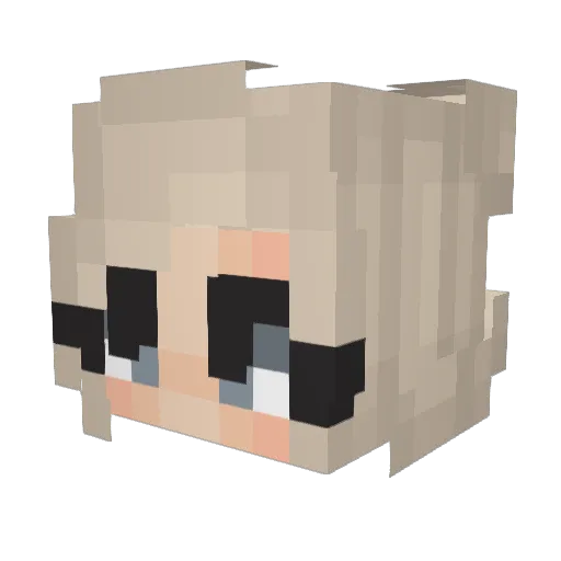 Fox1166 Minecraft avatar head, 3D render