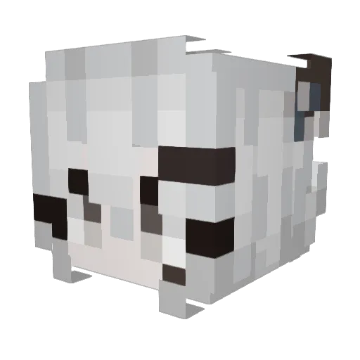 Fox1325 Minecraft avatar head, 3D render