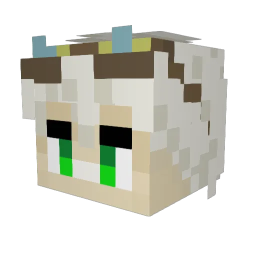 Fox1645 Minecraft avatar head, 3D render
