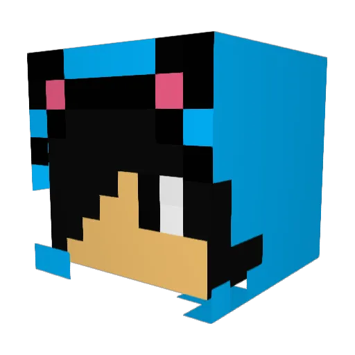 Fox2599 Minecraft avatar head, 3D render