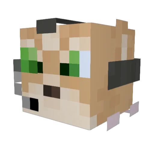 Fox29 Minecraft avatar head, 3D render