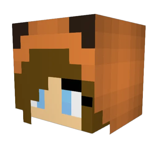 Fox325 Minecraft avatar head, 3D render