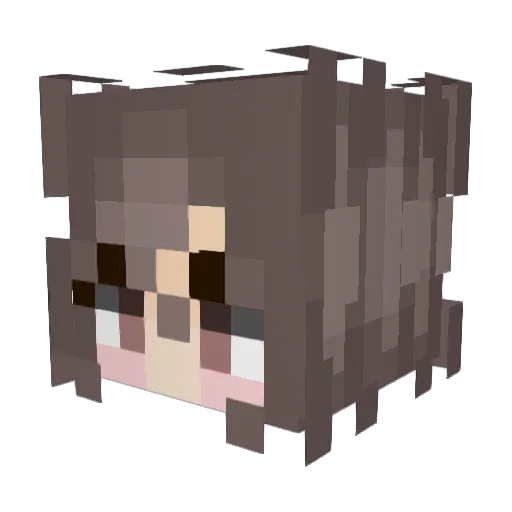 Fox4life2597 Minecraft avatar head, 3D render
