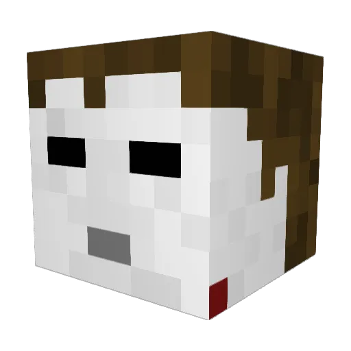 Fox786 Minecraft avatar head, 3D render