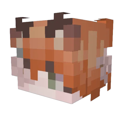 FoxBinnn Minecraft avatar head, 3D render