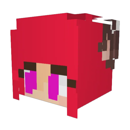 FoxEyeView Minecraft avatar head, 3D render