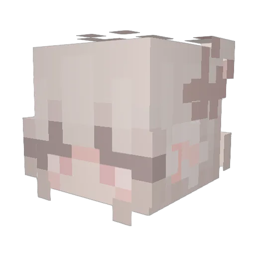 FoxFangs Minecraft avatar head, 3D render