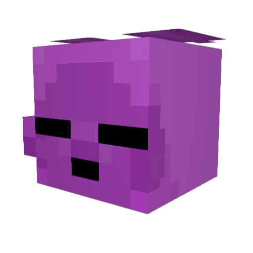 FoxFox232 Minecraft avatar head, 3D render