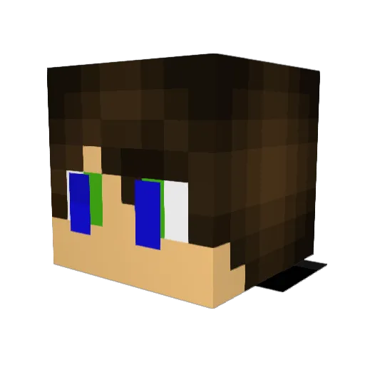 FoxFoxFoxFox Minecraft avatar head, 3D render