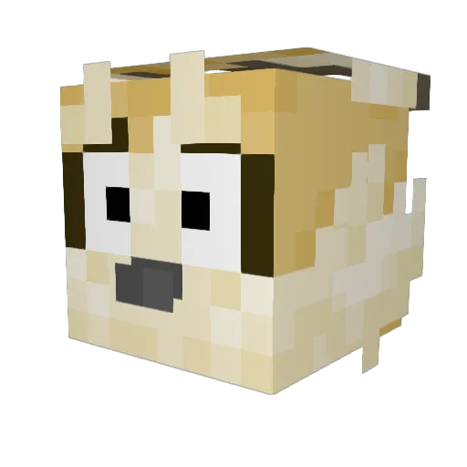 FoxInTheFridge Minecraft avatar head, 3D render