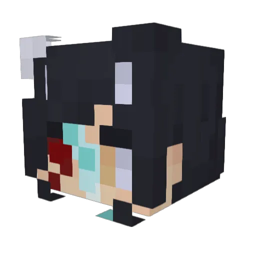 FoxMeleeee Minecraft avatar head, 3D render