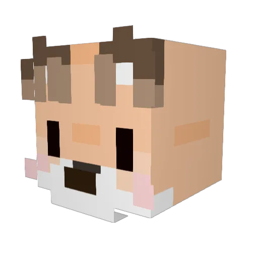 FoxMochi Minecraft avatar head, 3D render