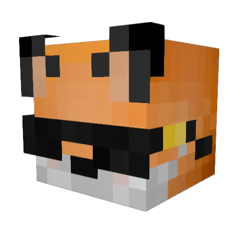 FoxPlay135 Minecraft avatar head, 3D render