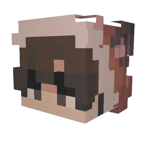 FoxRush__ Minecraft avatar head, 3D render