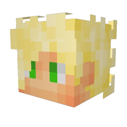 FoxSaysHrr Minecraft avatar head, 3D render