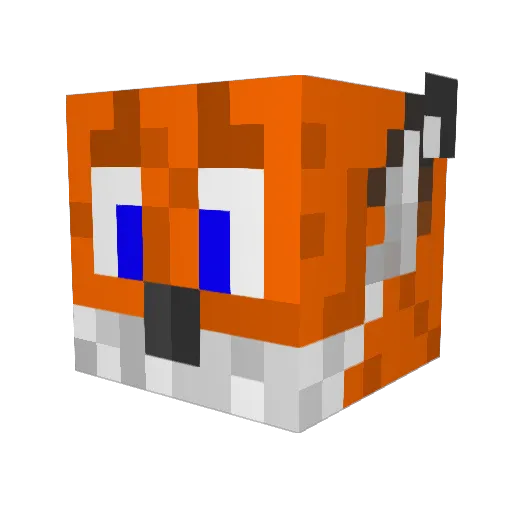 FoxShot Minecraft avatar head, 3D render