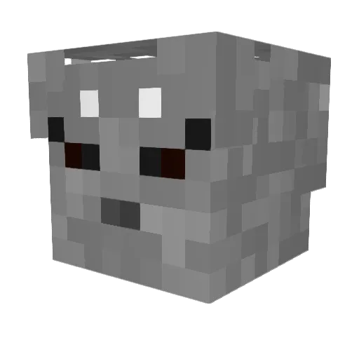 FoxSnipe11 Minecraft avatar head, 3D render