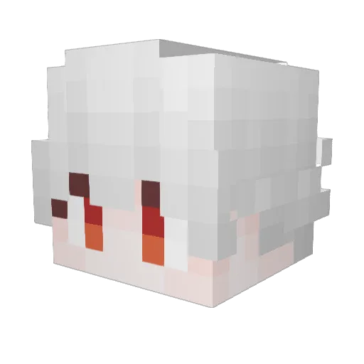 FoxSurfn_y Minecraft avatar head, 3D render