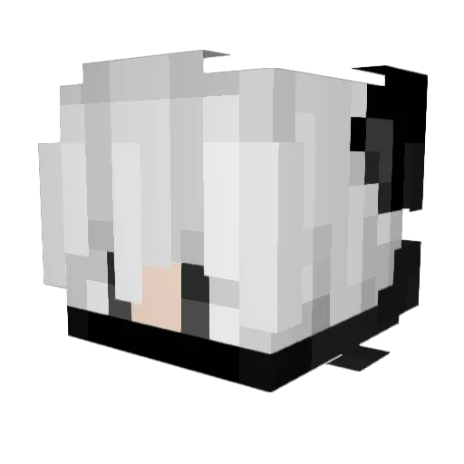 FoxTomMC Minecraft avatar head, 3D render
