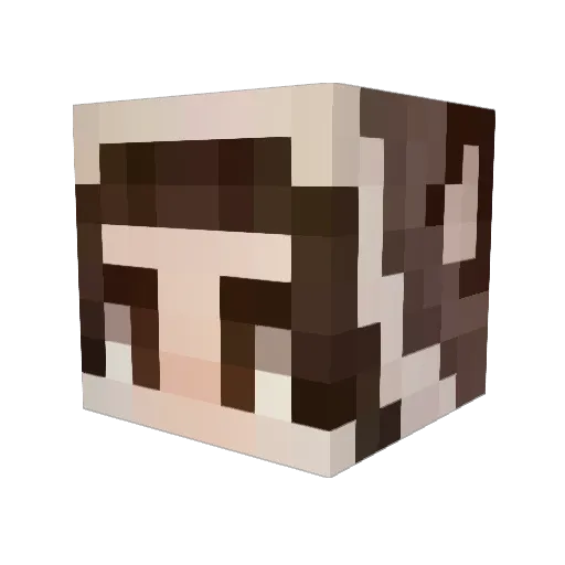 FoxToons Minecraft avatar head, 3D render