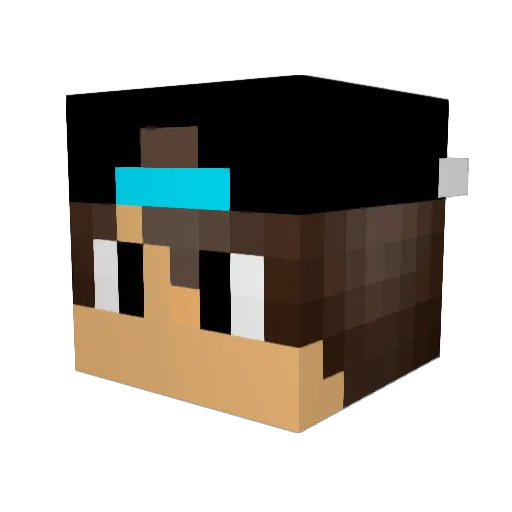 FoxTrot1751 Minecraft avatar head, 3D render