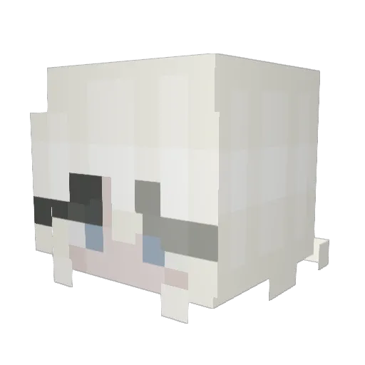 FoxWithSoxxx Minecraft avatar head, 3D render