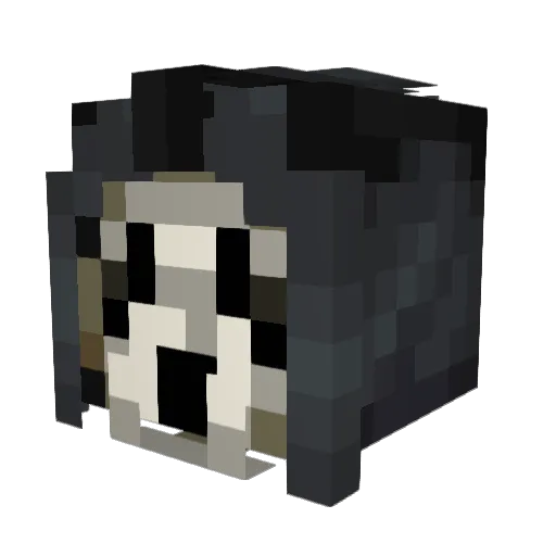 FoxWize Minecraft avatar head, 3D render