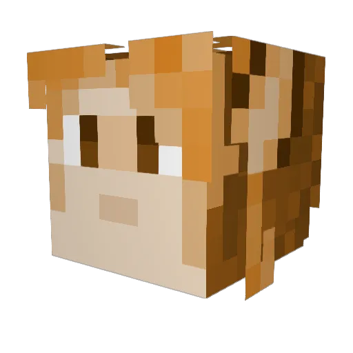 Fox_An_Idiot Minecraft avatar head, 3D render