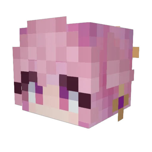 Fox_Arctic Minecraft avatar head, 3D render