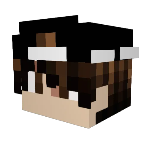 Fox_Play3r Minecraft avatar head, 3D render